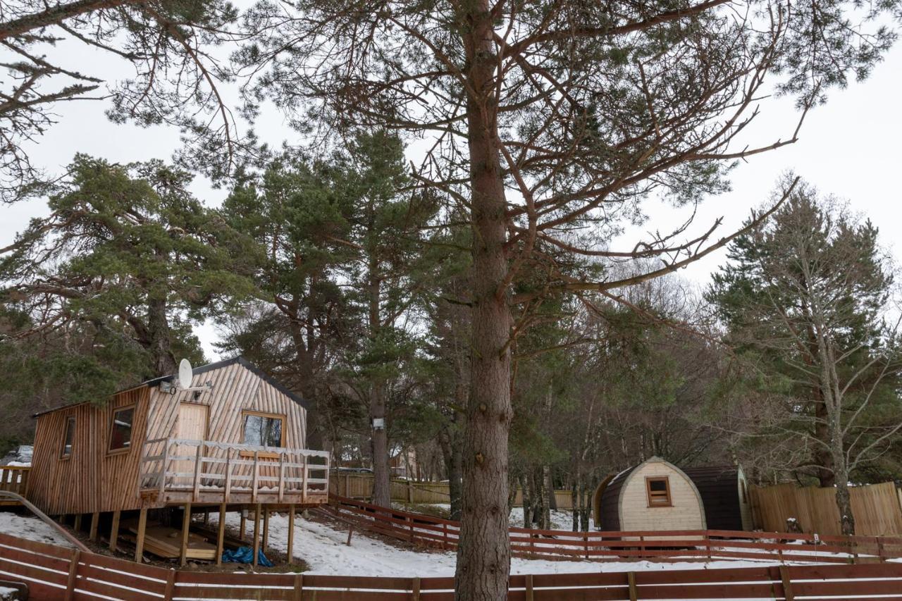 Pine Marten Bar Glenmore Treehouse Авимор Екстериор снимка